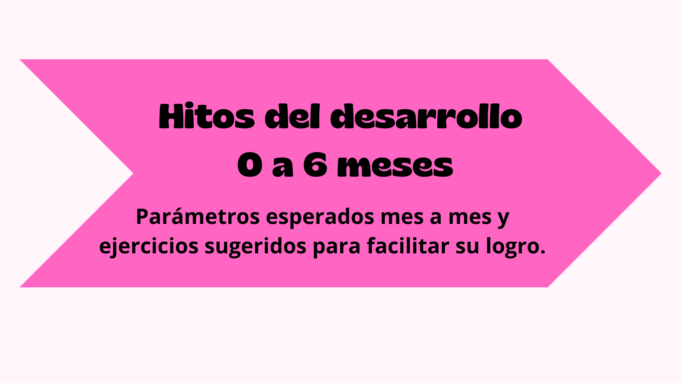 Hitos del desarrollo mes a mes desde los 0 a los 6 meses y ejercicios sugeridos para propiciar su logro. 